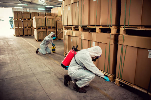  New London, MN Pest Control Pros