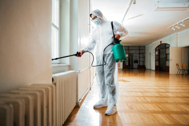 Best Wildlife Control Services  in New London, MN